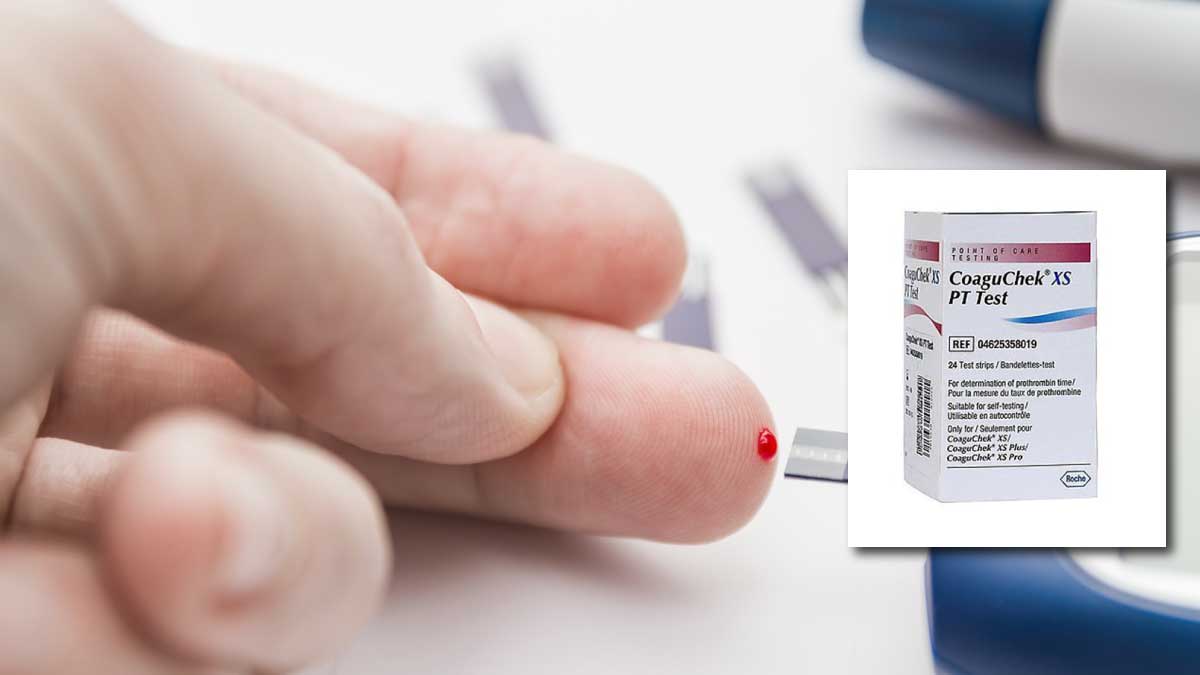 Coaguchek XS PT Test for INR Testing - Image 3