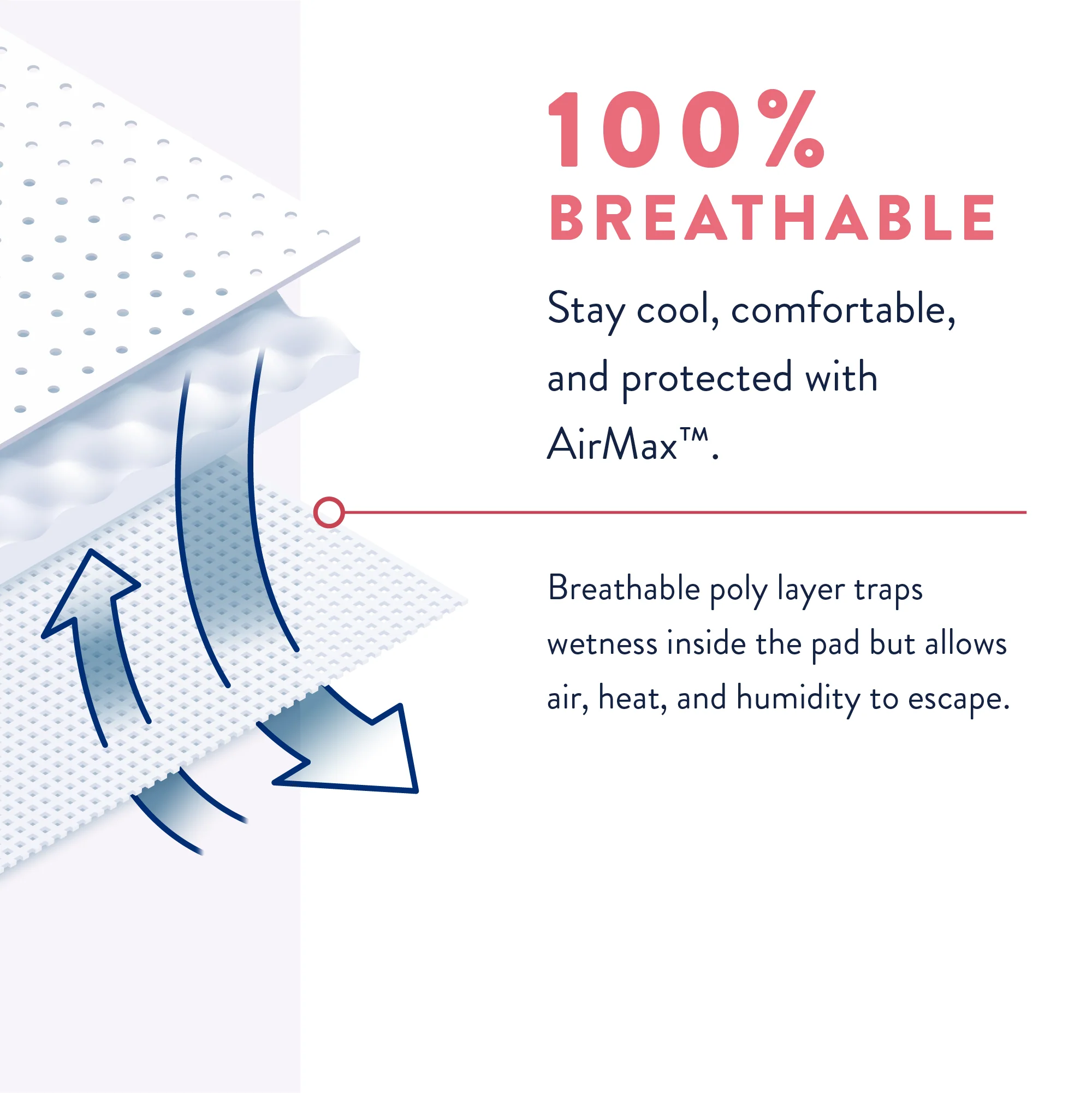 Incognito by Prevail Absorbent 3-in-1 Protective Postpartum Liner for Menstrual and Bladder Leaks, 9 hours of Protection with Odor Guard - Image 5