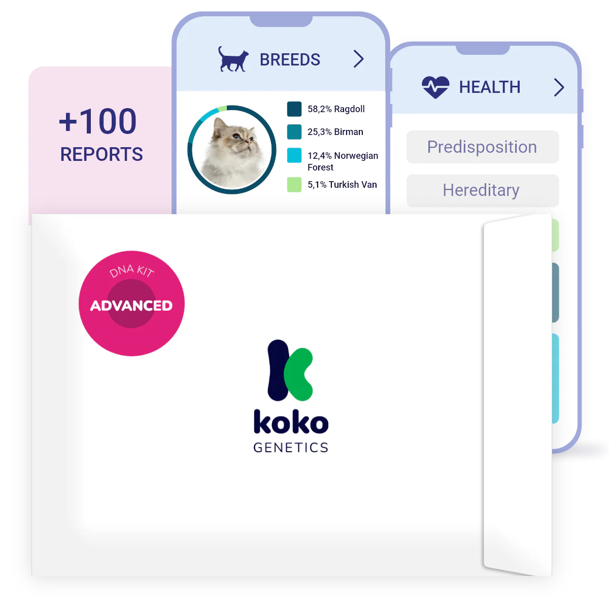 Koko Genetics Advanced DNA Test for Cats, Analyzes & Identifies 40+ Breeds, Ancestry, Offers 146+ Genetic Health and Traits Reports, Lifetime Updates Included - Image 2