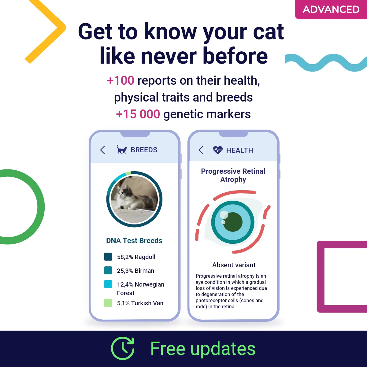Koko Genetics Advanced DNA Test for Cats, Analyzes & Identifies 40+ Breeds, Ancestry, Offers 146+ Genetic Health and Traits Reports, Lifetime Updates Included - Image 3