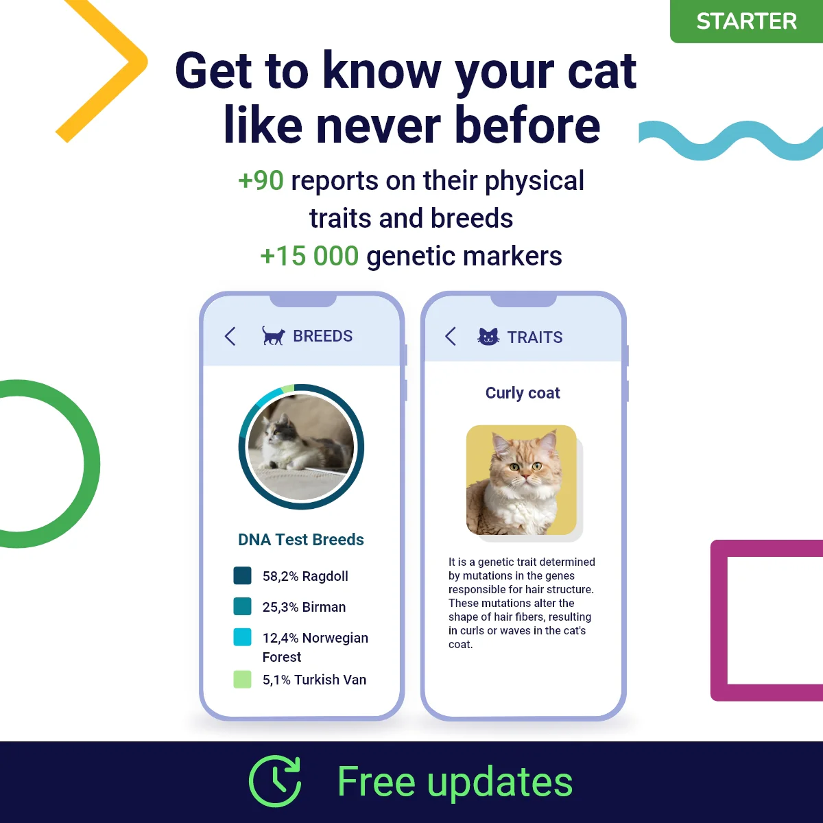 Koko Genetics Starter DNA Test for Cats, Analyzes & Identifies 40+ Breeds and Offers 46+ Genetic Traits and Ancestry Reports, Lifetime Updates Included - Image 2