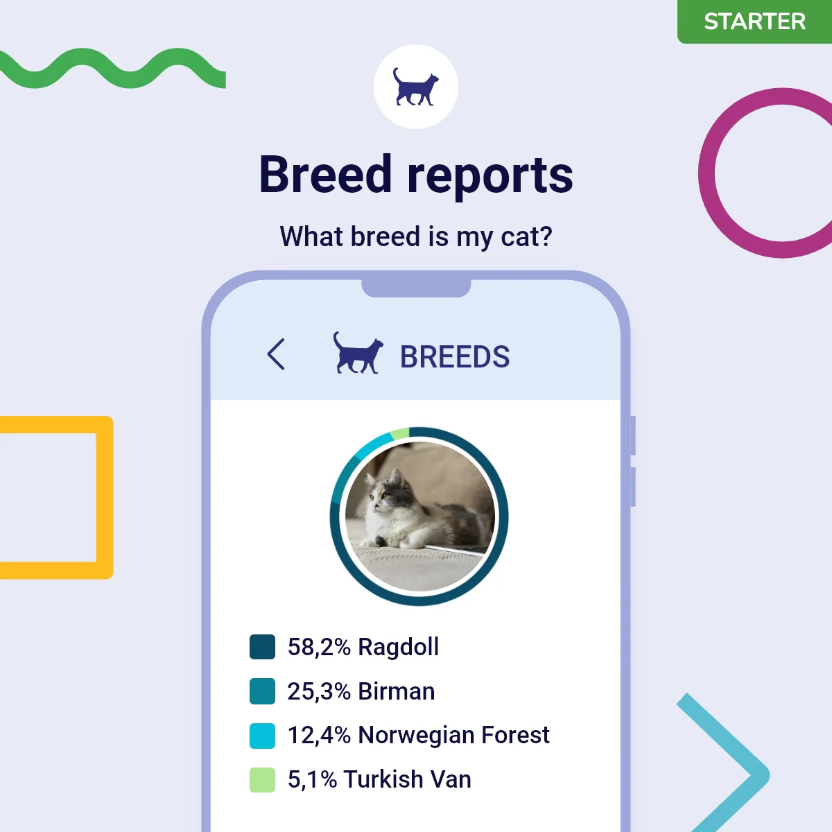 Koko Genetics Starter DNA Test for Cats, Analyzes & Identifies 40+ Breeds and Offers 46+ Genetic Traits and Ancestry Reports, Lifetime Updates Included - Image 3