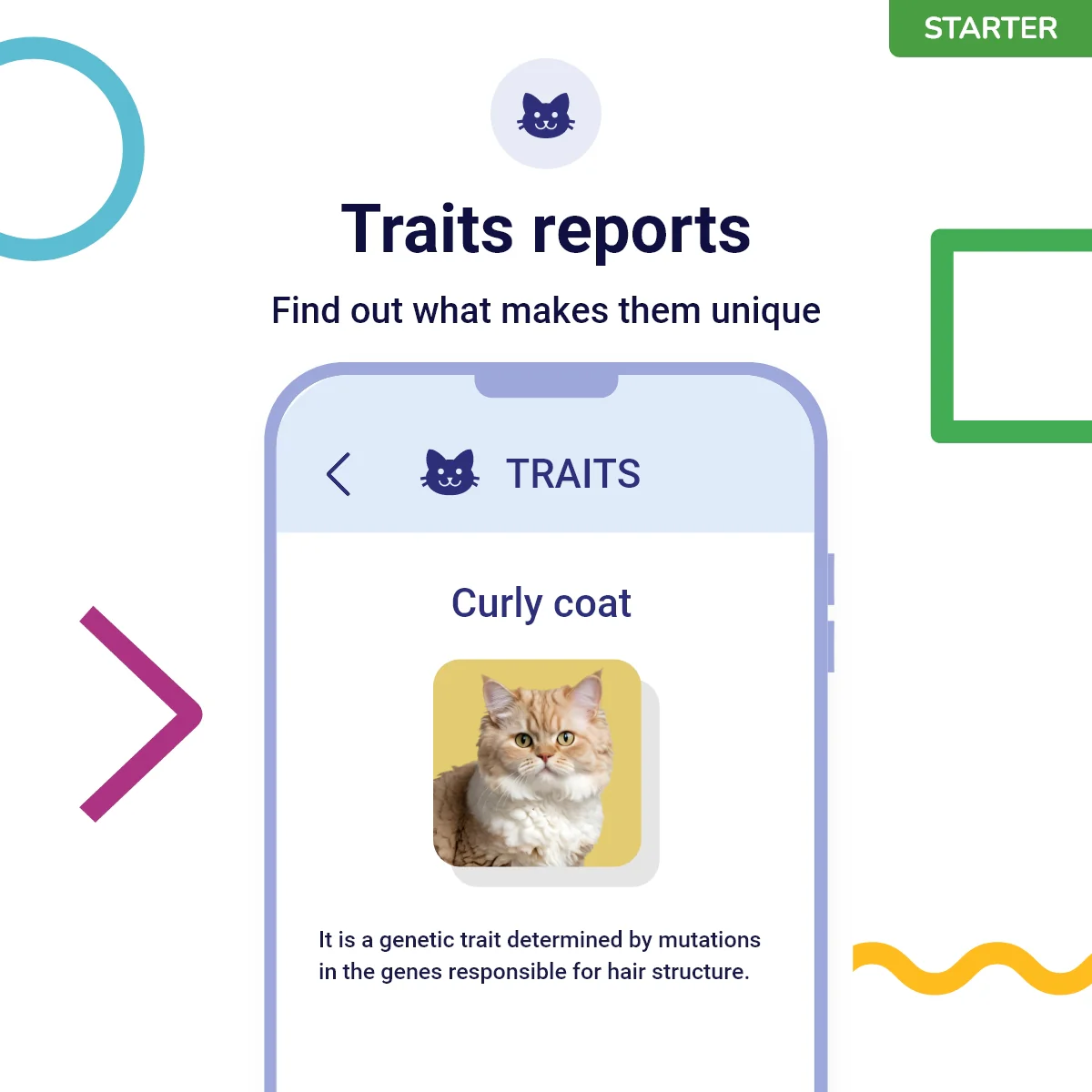 Koko Genetics Starter DNA Test for Cats, Analyzes & Identifies 40+ Breeds and Offers 46+ Genetic Traits and Ancestry Reports, Lifetime Updates Included - Image 4