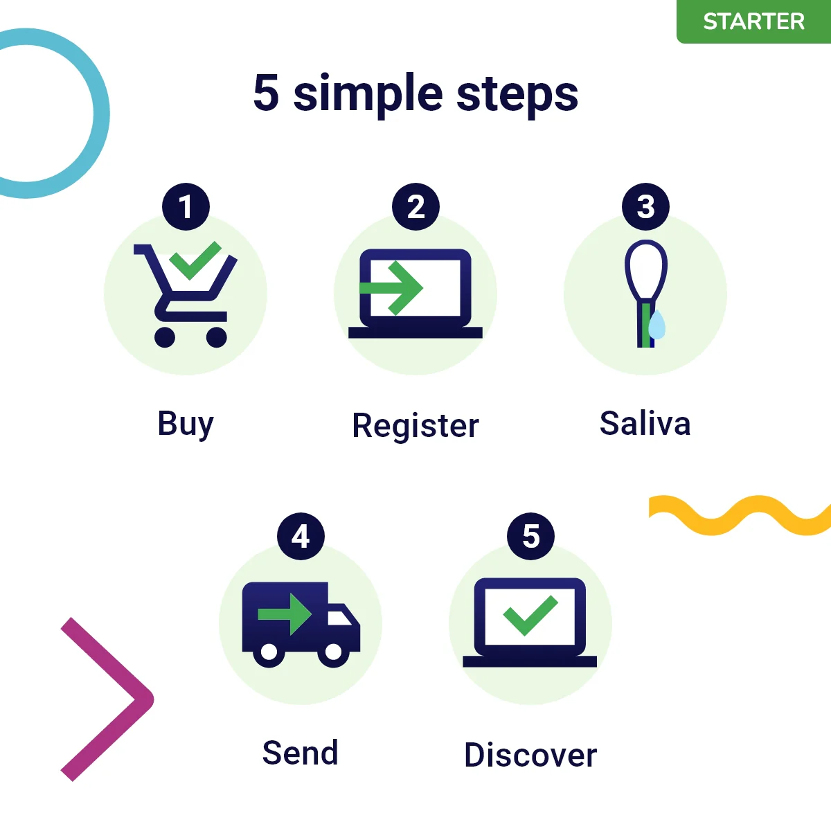 Koko Genetics Starter DNA Test for Cats, Analyzes & Identifies 40+ Breeds and Offers 46+ Genetic Traits and Ancestry Reports, Lifetime Updates Included - Image 8
