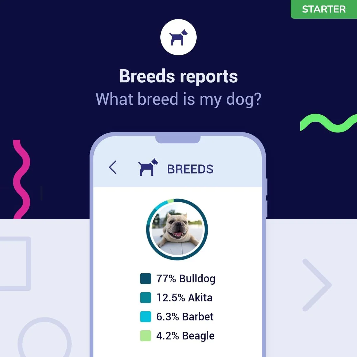 Koko Genetics Starter DNA Test for Dogs, Analyzes & Identifies 400+ Breeds and Offers 25+ Genetic Traits and Ancestry Reports, Lifetime Updates Included - Image 5