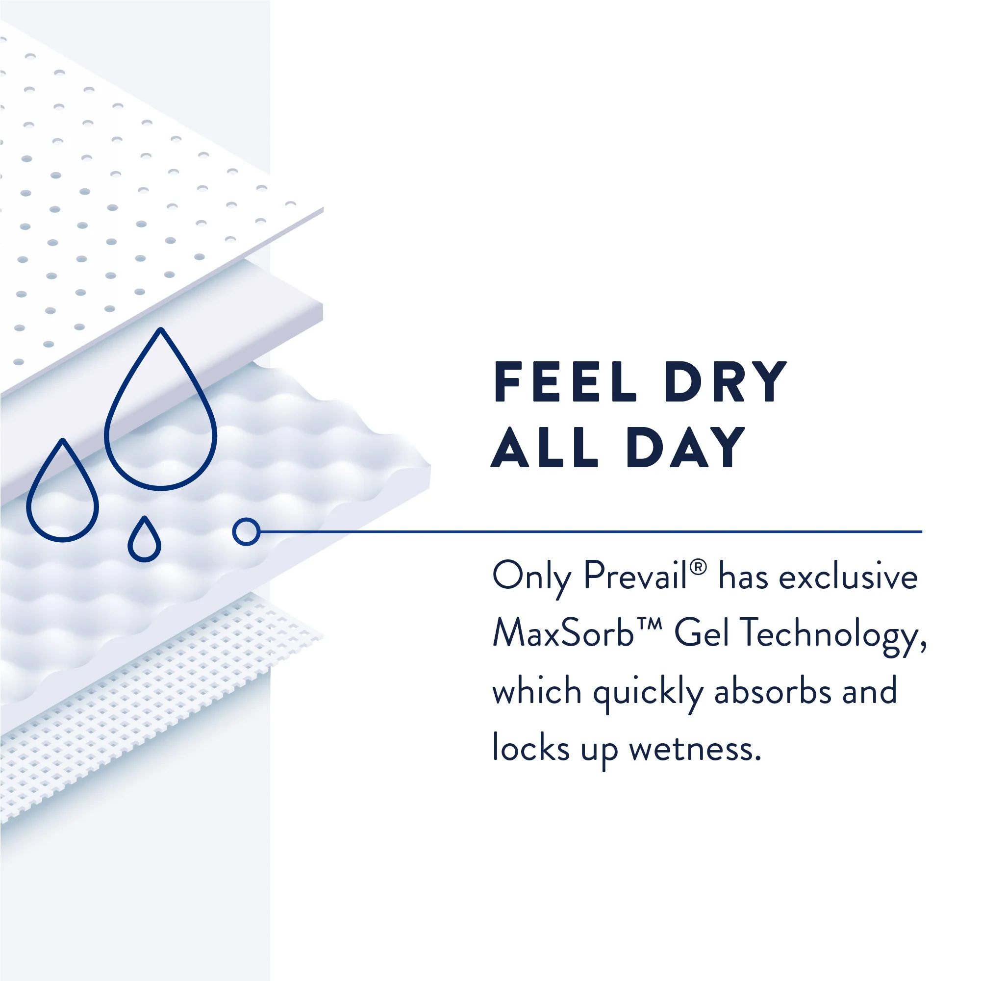 Prevail Daily Incontinence Pant Liners - Image 6