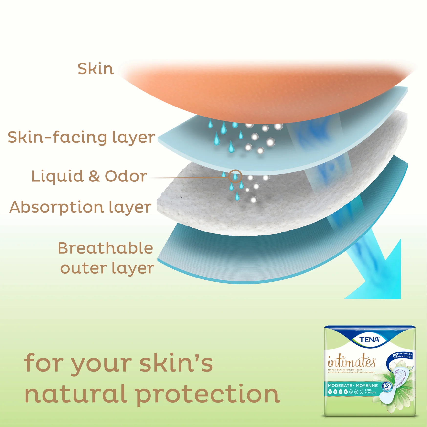 TENA Intimates Pads - Image 10
