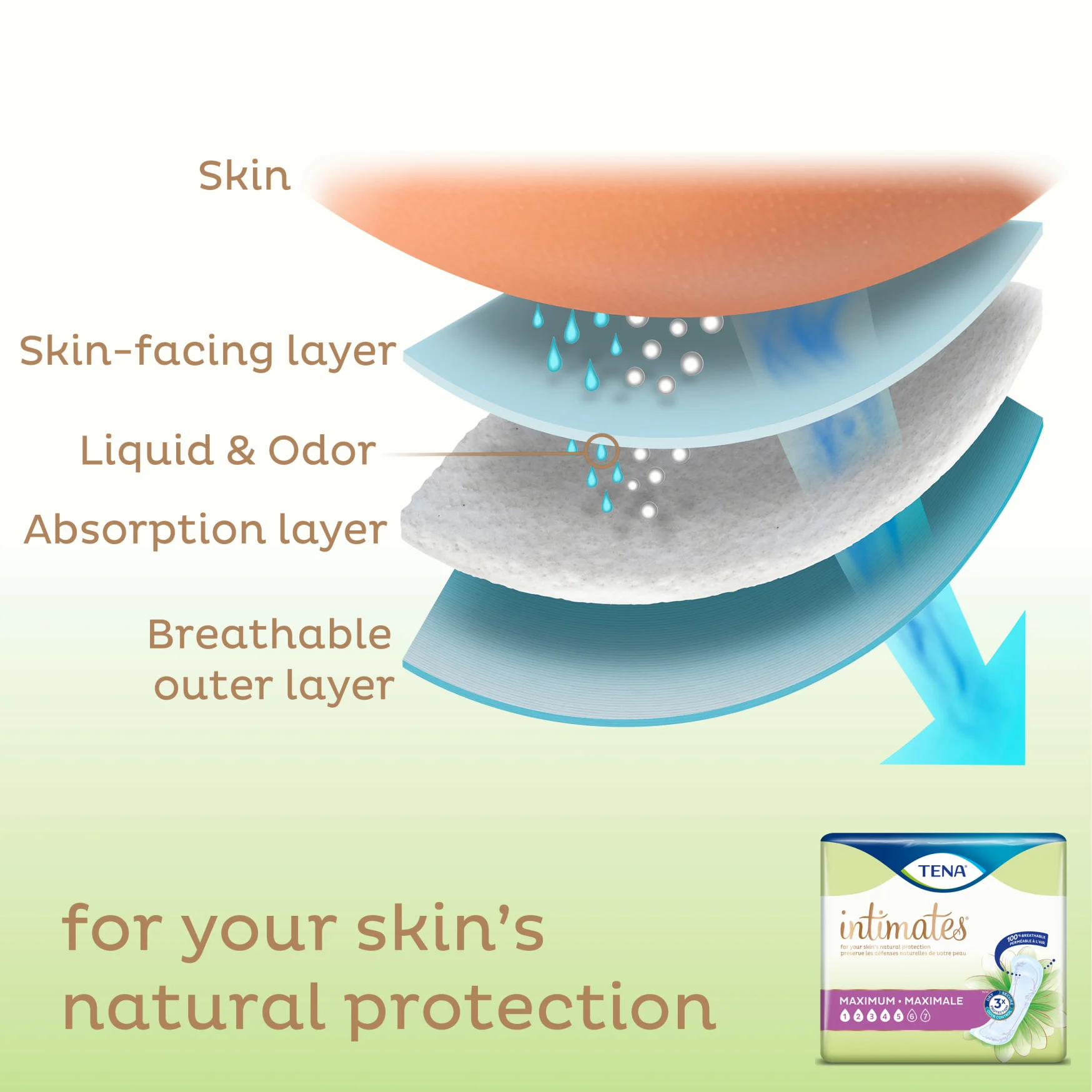 TENA Intimates Pads - Image 18