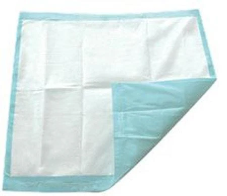 TotalDry SP115410 Underpad, Case of 100